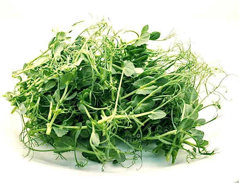 Микс микрозелени срезанная Горох мадрас, 80 г