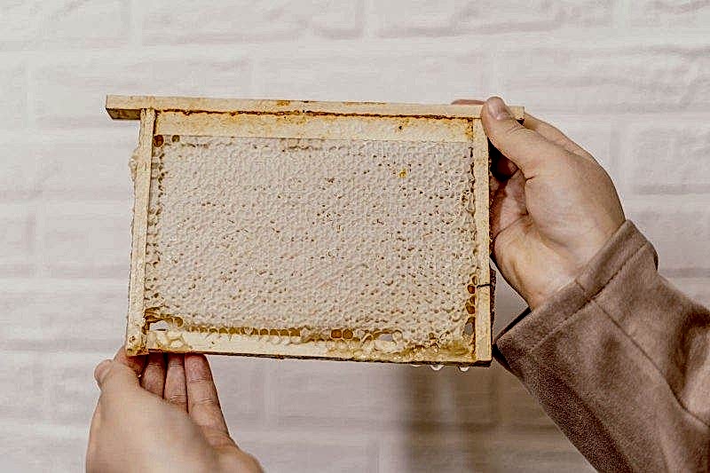 Мед в сотах