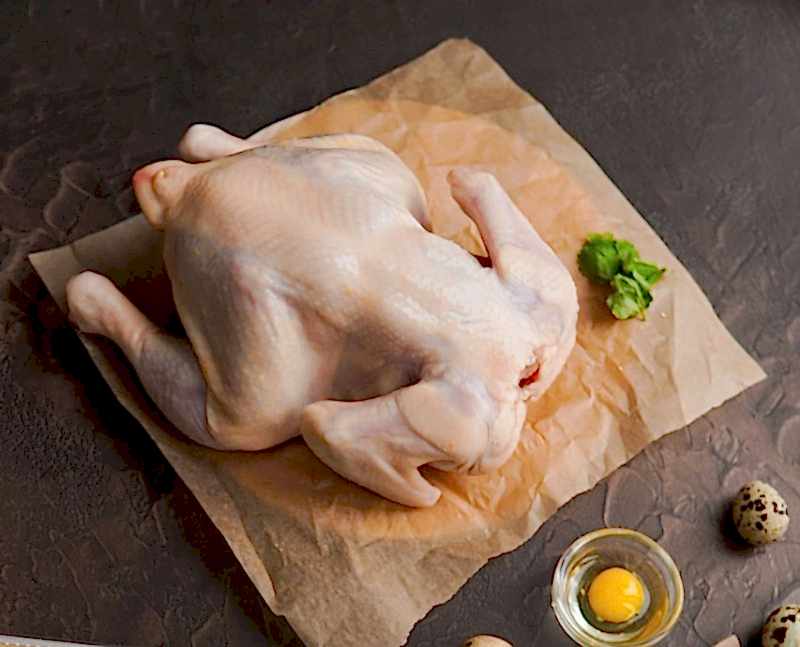 Цыпленок Домашний