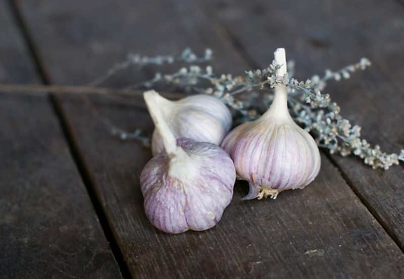 Чеснок