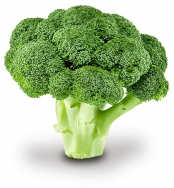 Брокколи свежие