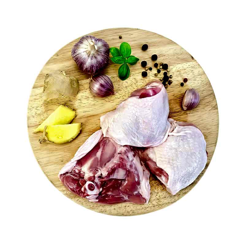 Бедро Домашней куры