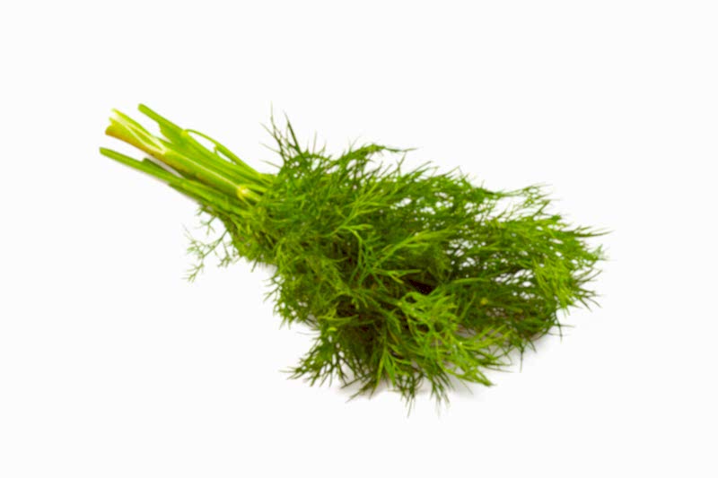 Укроп, 50±5 гр
