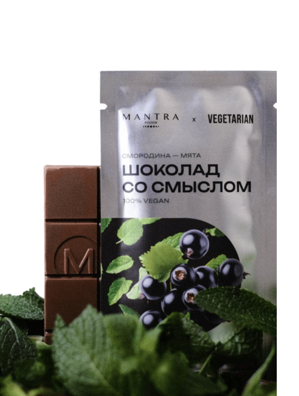 Шоколад со смыслом смородина мята, 20 г