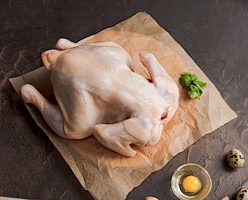 Куры Домашние