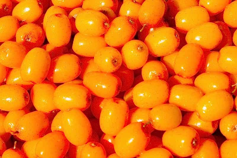 Облепиха с/м 300±10 гр