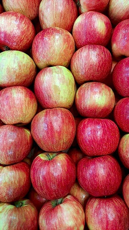 Яблоки "Медовый хруст"